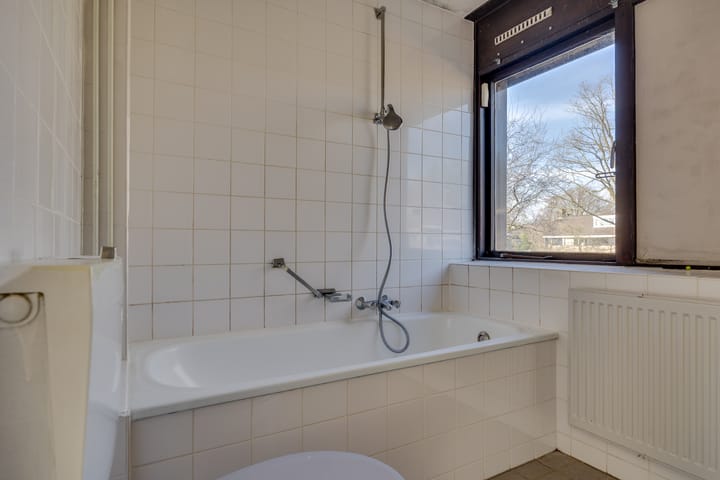 Foto 20 van Koolzaadland 20