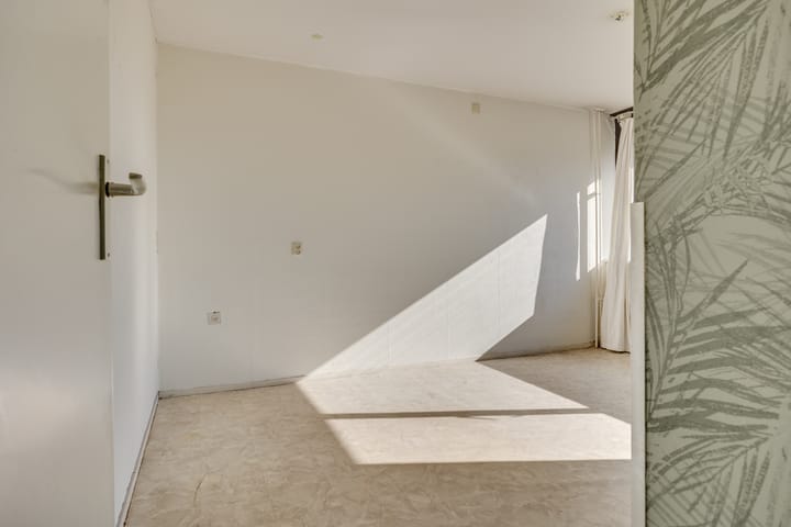 Foto 25 van Koolzaadland 20