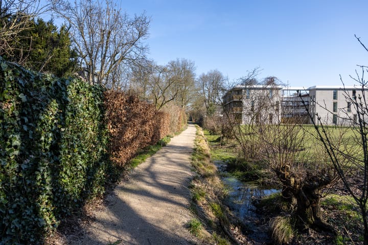 Foto 35 van Koolzaadland 20