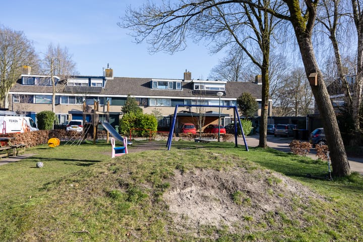 Foto 36 van Koolzaadland 20