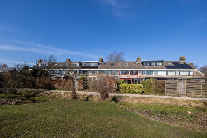 Foto 37 van Koolzaadland 20