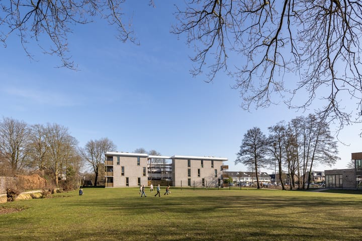 Foto 39 van Koolzaadland 20