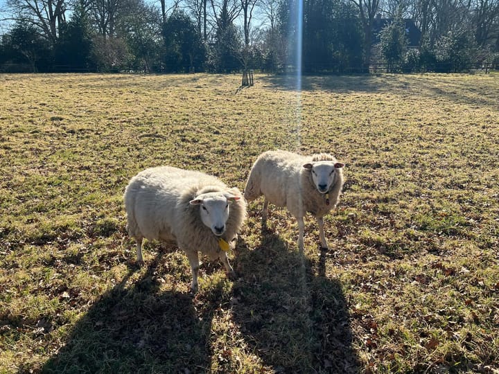 Foto 41 van Boskampsbrugweg 1