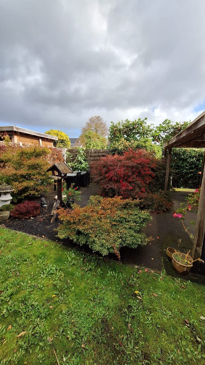 Foto 39 van De Rietgans 12