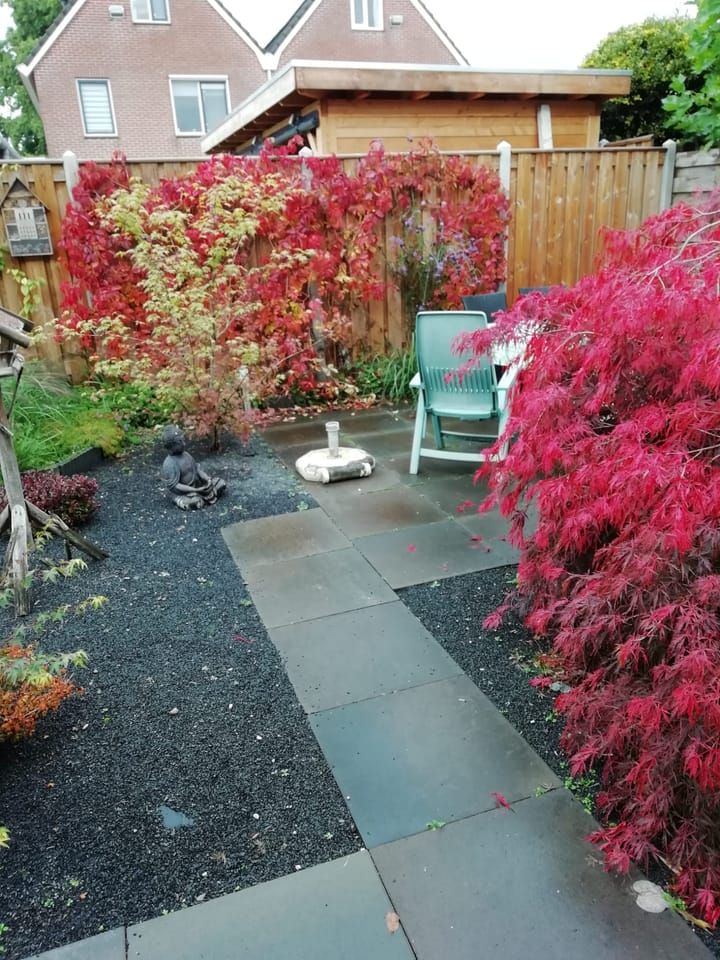 Foto 40 van De Rietgans 12