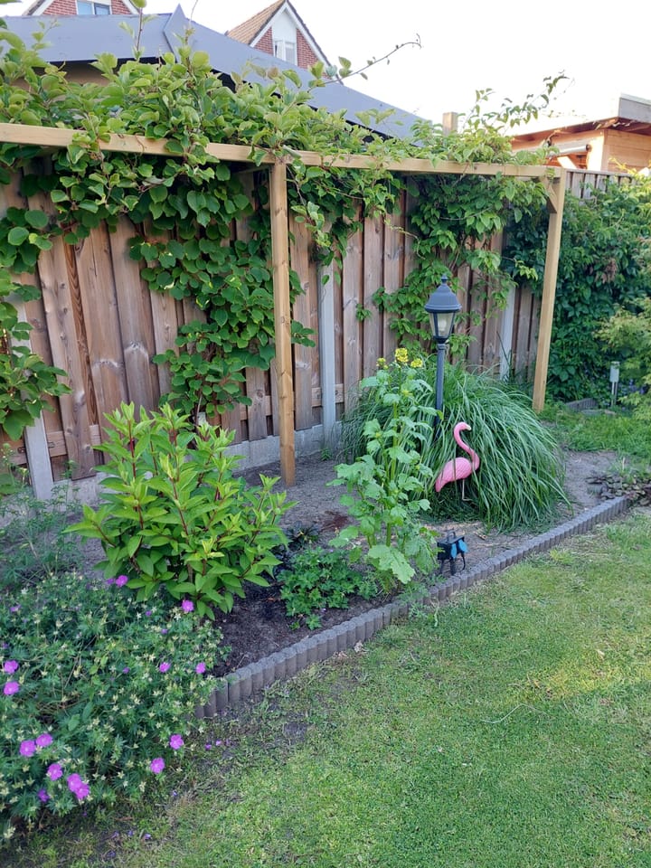 Foto 49 van De Rietgans 12