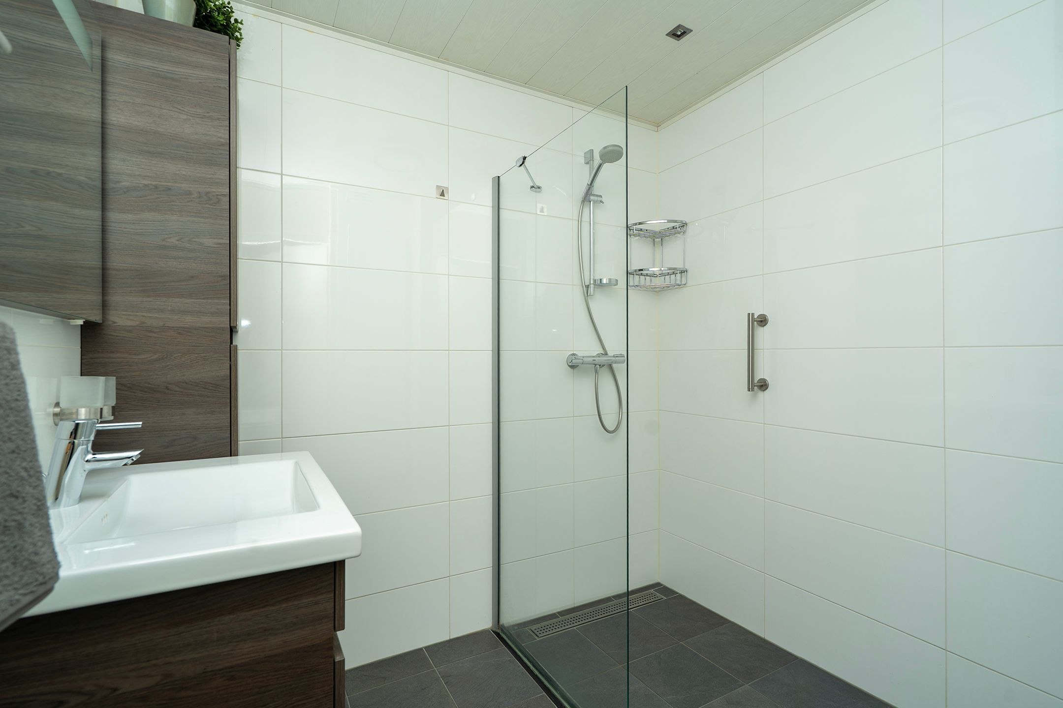 Photo 42 of Willem II-straat 94-A