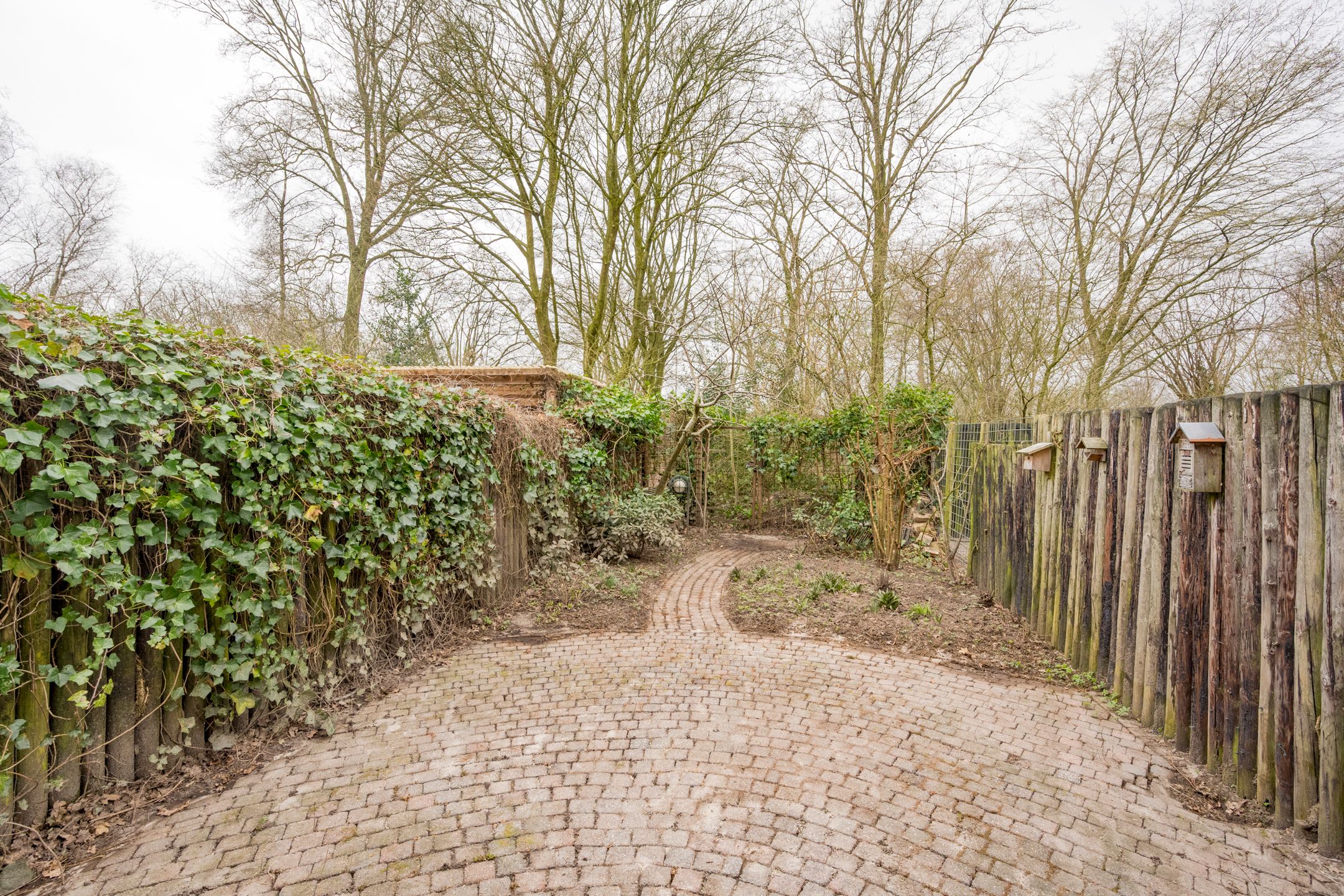 Foto 21 van Brucknerlaantje 75