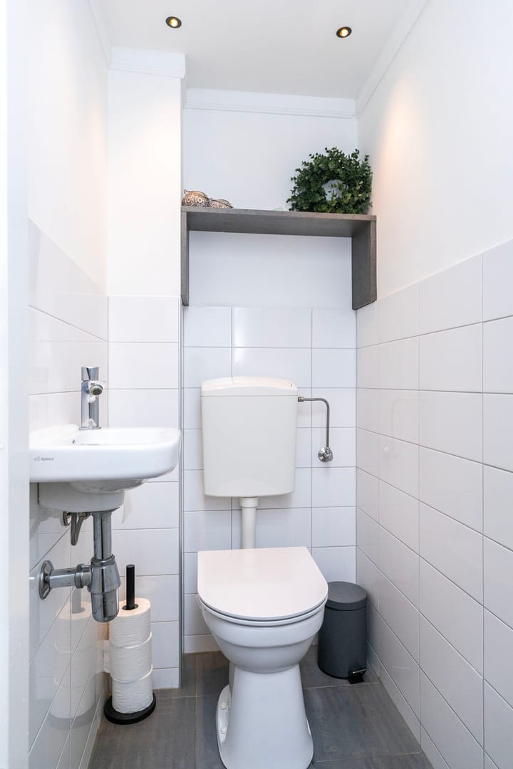 Foto 7 van Lankforst 4225