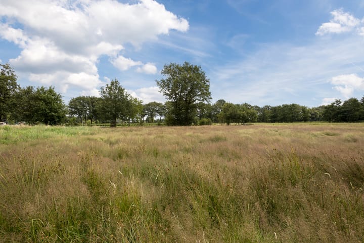 Foto 4 van Gosem Engelsstraat 16