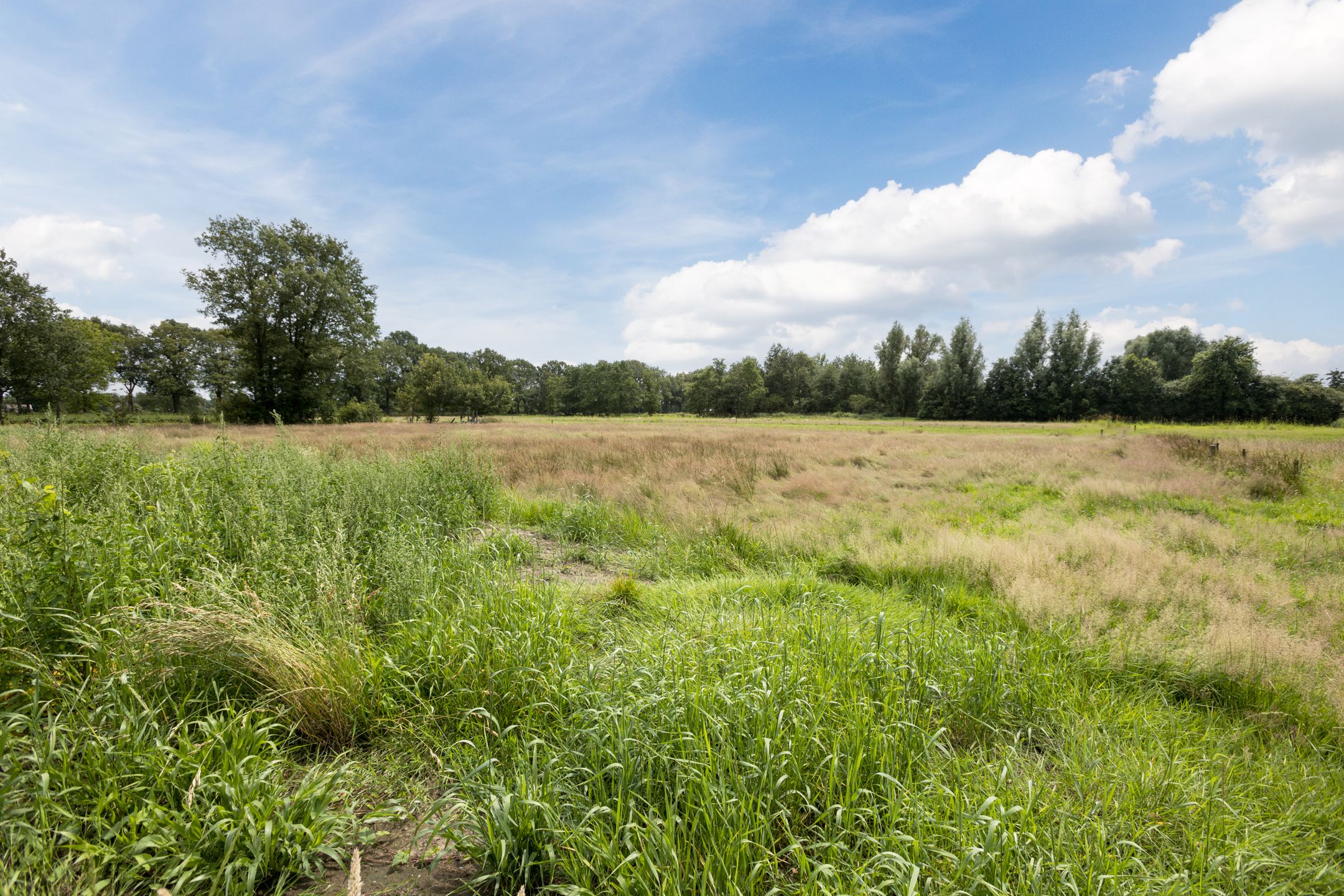 Photo 57 of Gosem Engelsstraat 16