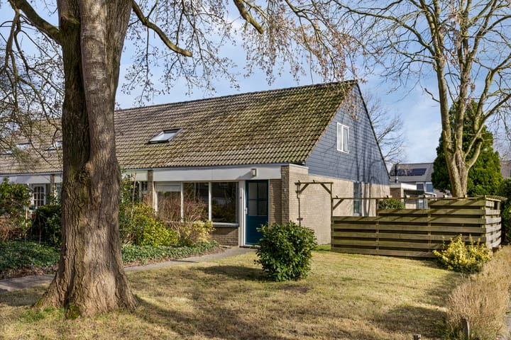 undefined main image