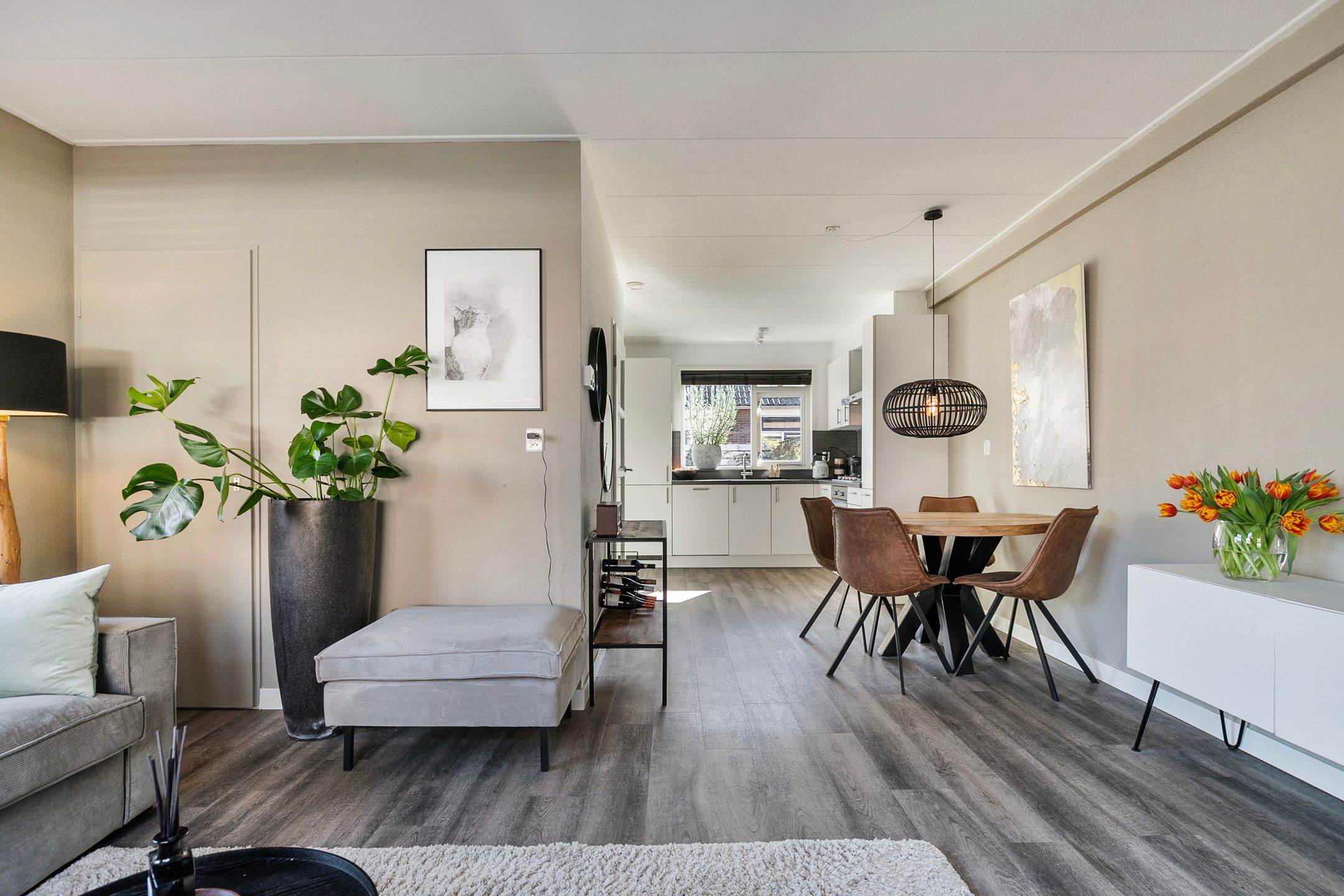 Foto 9 van Dokter van der Windhof 4