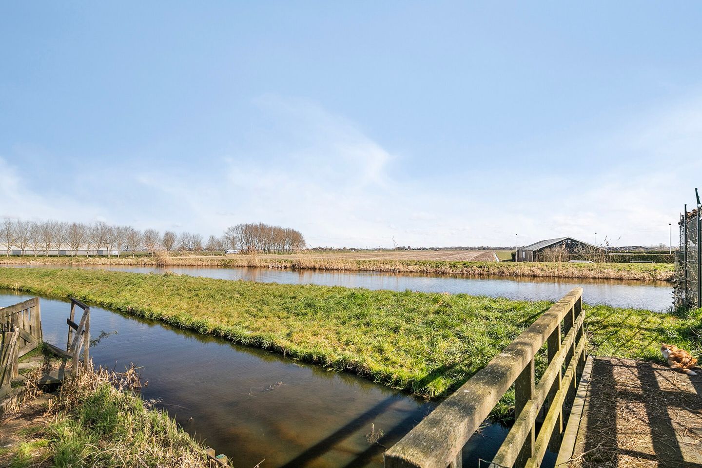 Foto 34 van Dokter van der Windhof 4