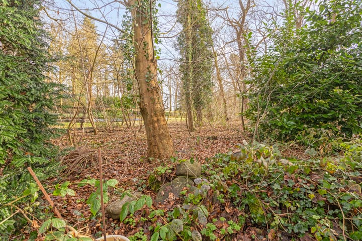 Foto 26 van Henry Dunantlaan 44