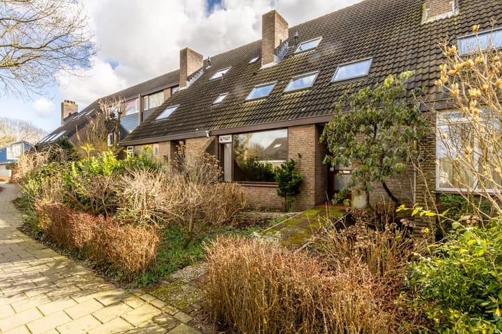 Foto 1 van Weidezoom 10