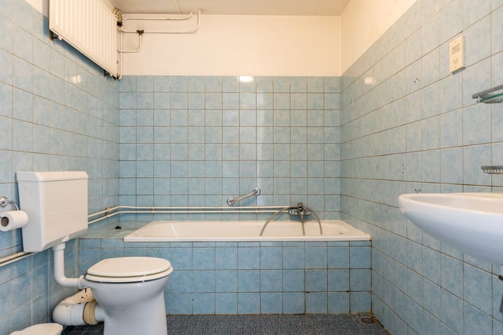 Foto 16 van Weidezoom 10