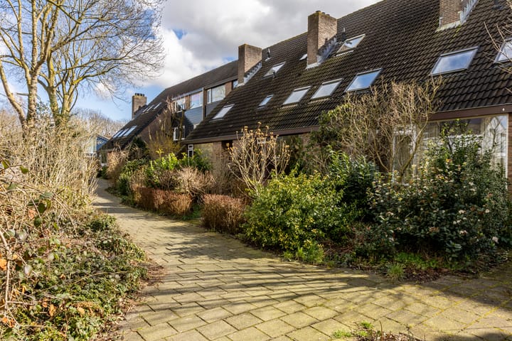 Foto 28 van Weidezoom 10