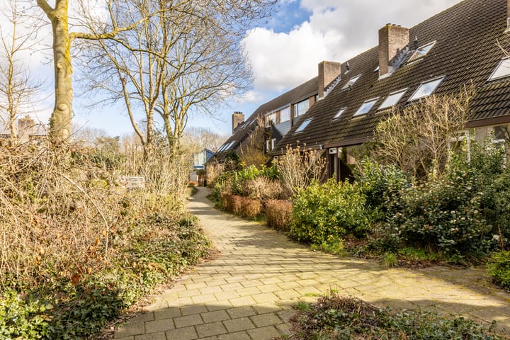 Foto 29 van Weidezoom 10