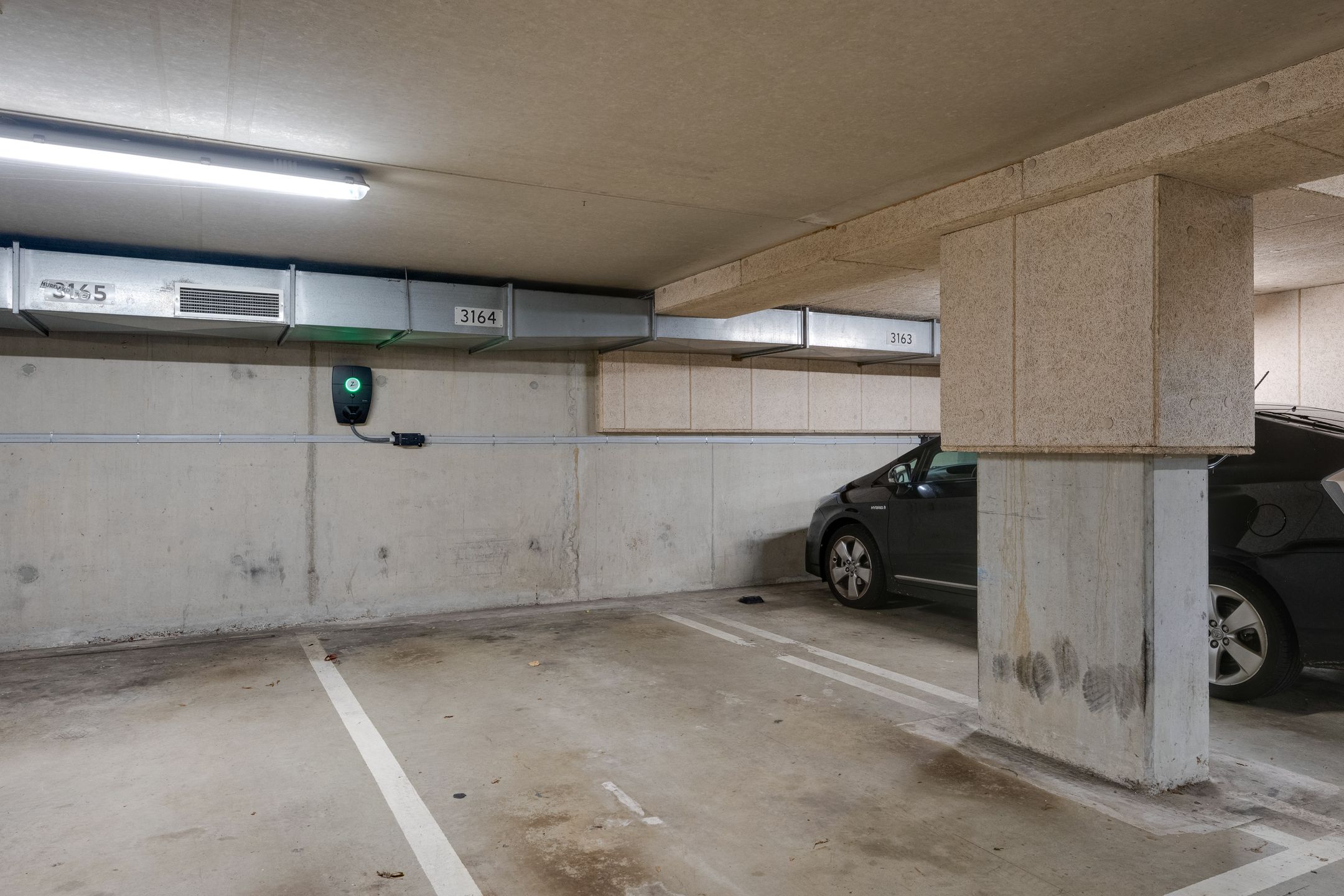 Foto 3 van Bogortuin