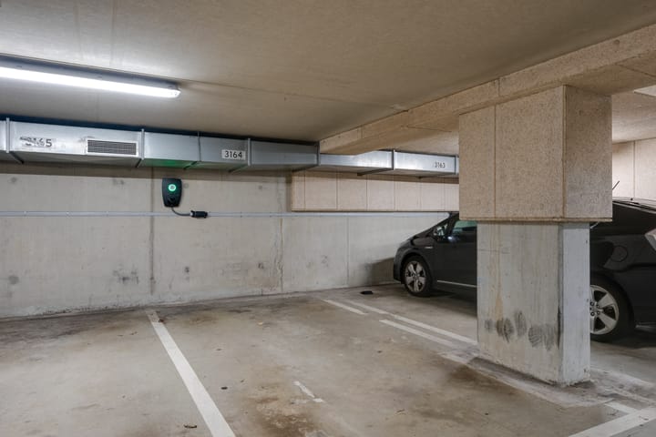 Foto 3 van Bogortuin