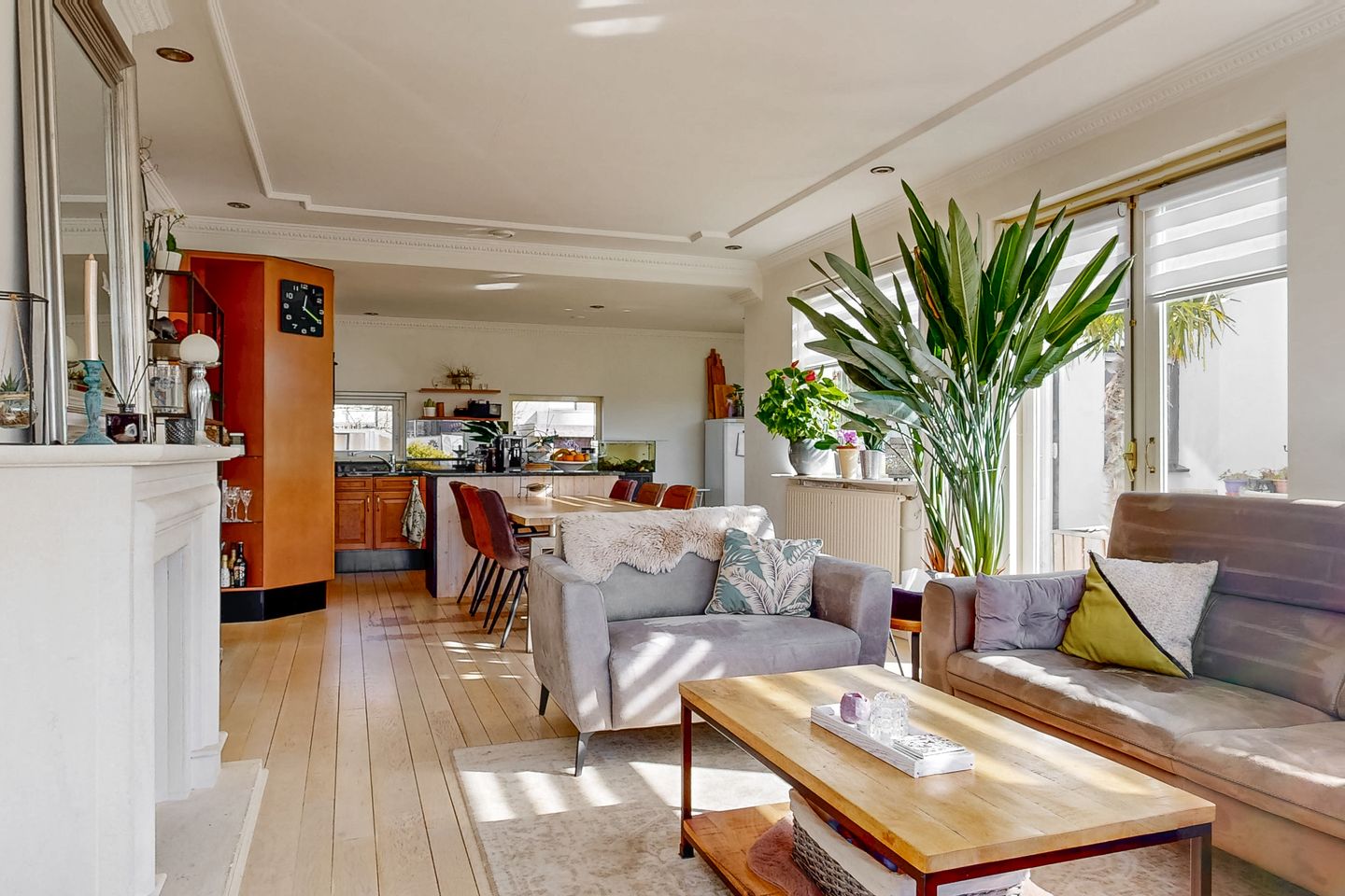 Foto 5 van Eiteren 94