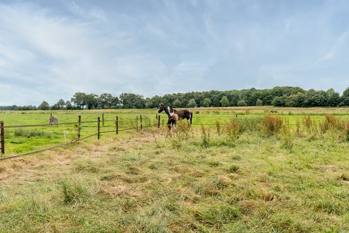 Photo 35 of Dedemsvaartseweg-Zuid 71