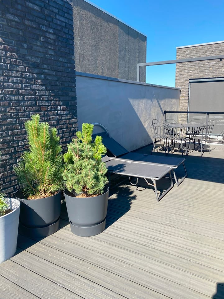 Foto 28 van Lisdoddelaan 68