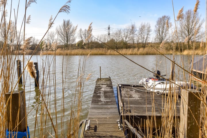 Foto 42 van Lisdoddelaan 68