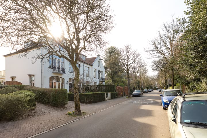 Foto 4 van Borneolaan 10