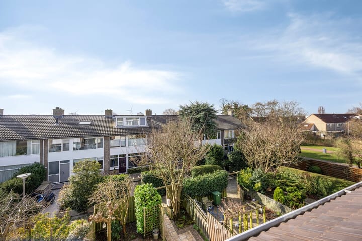 Foto 52 van Steven van der Haghenstraat 97