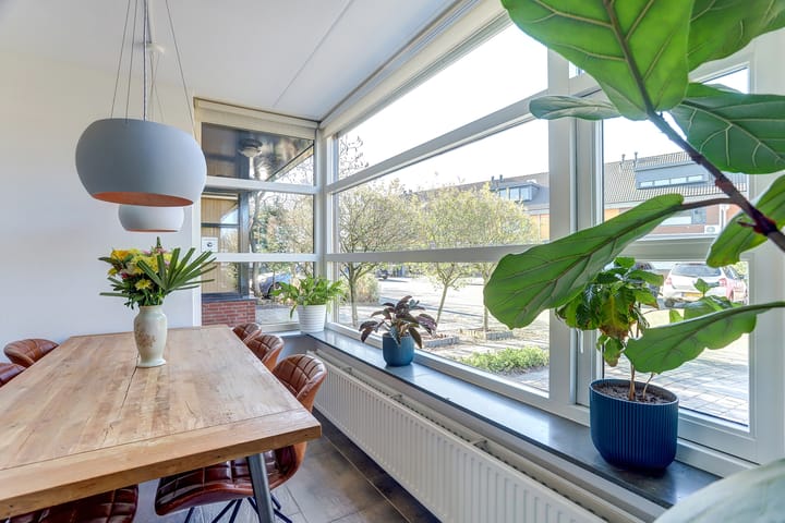 Foto 15 van de Lingert 5705