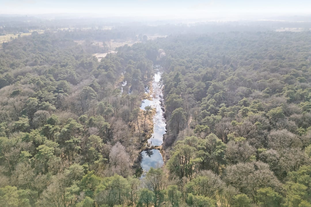 Foto 7 van Westeinde 10