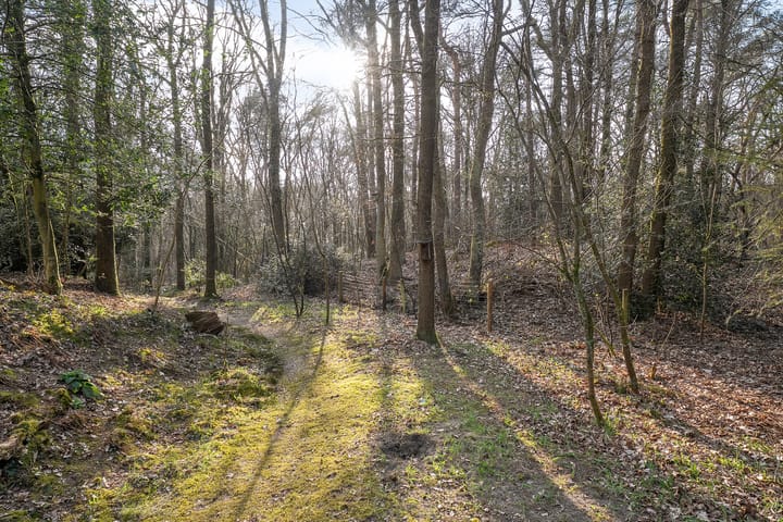 Foto 38 van Westeinde 10