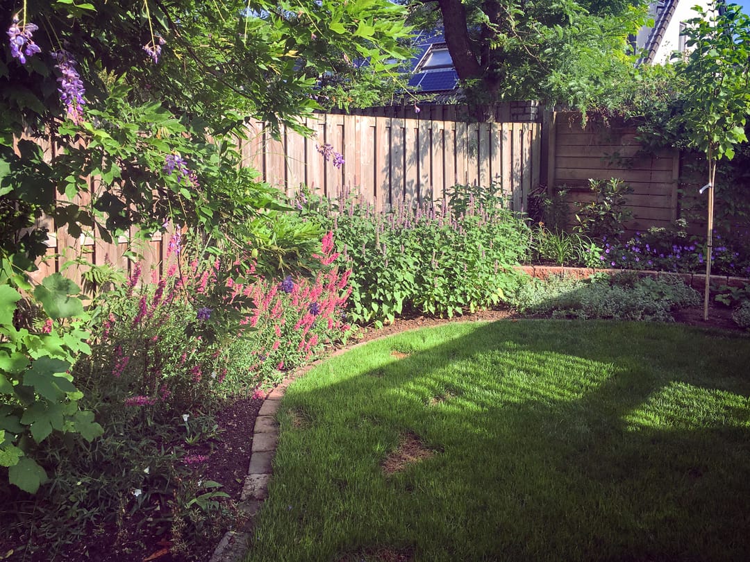 Photo 37 of Berkenlaan 35