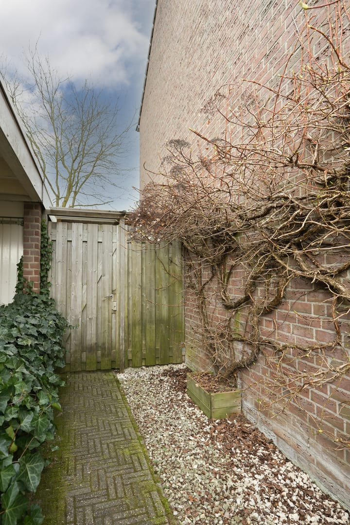 Foto 40 van Berkenlaan 35