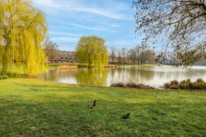 Foto 38 van Hyacinthstraat 104-26