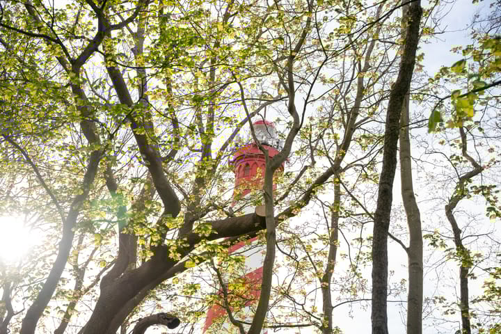 Photo 66 of Burghseweg 74