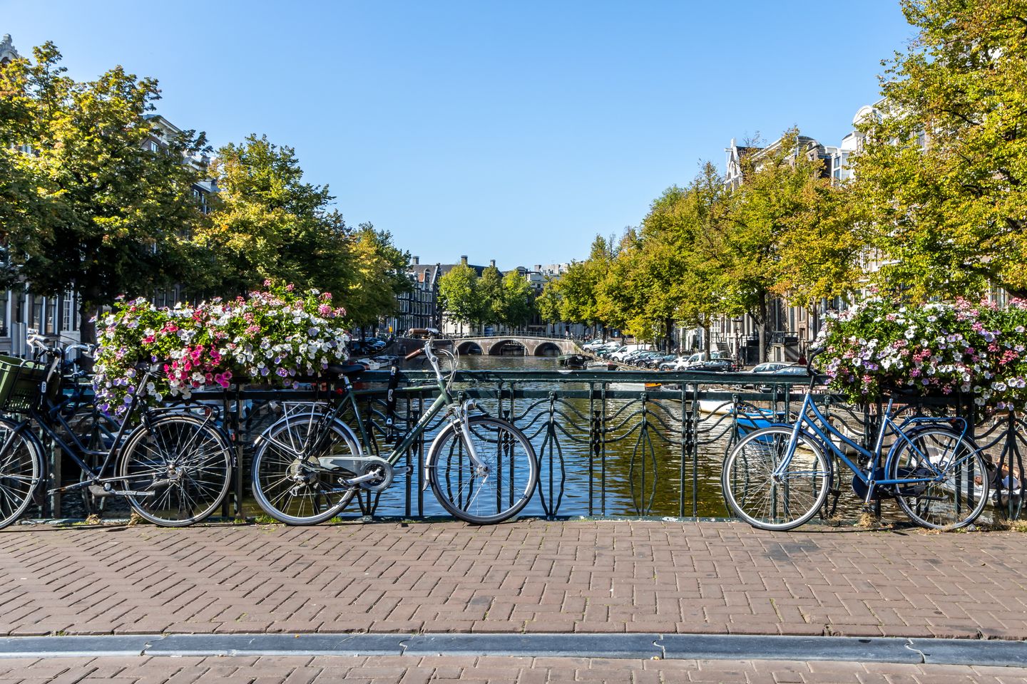 Foto 40 van Singel 484-E