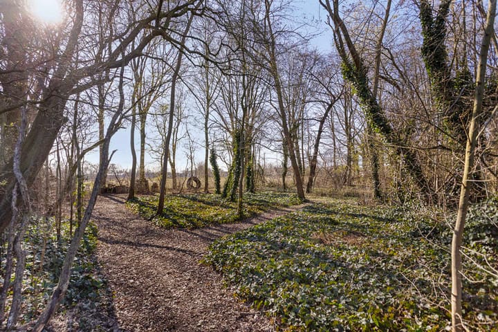 Foto 40 van Derptweg 5-A