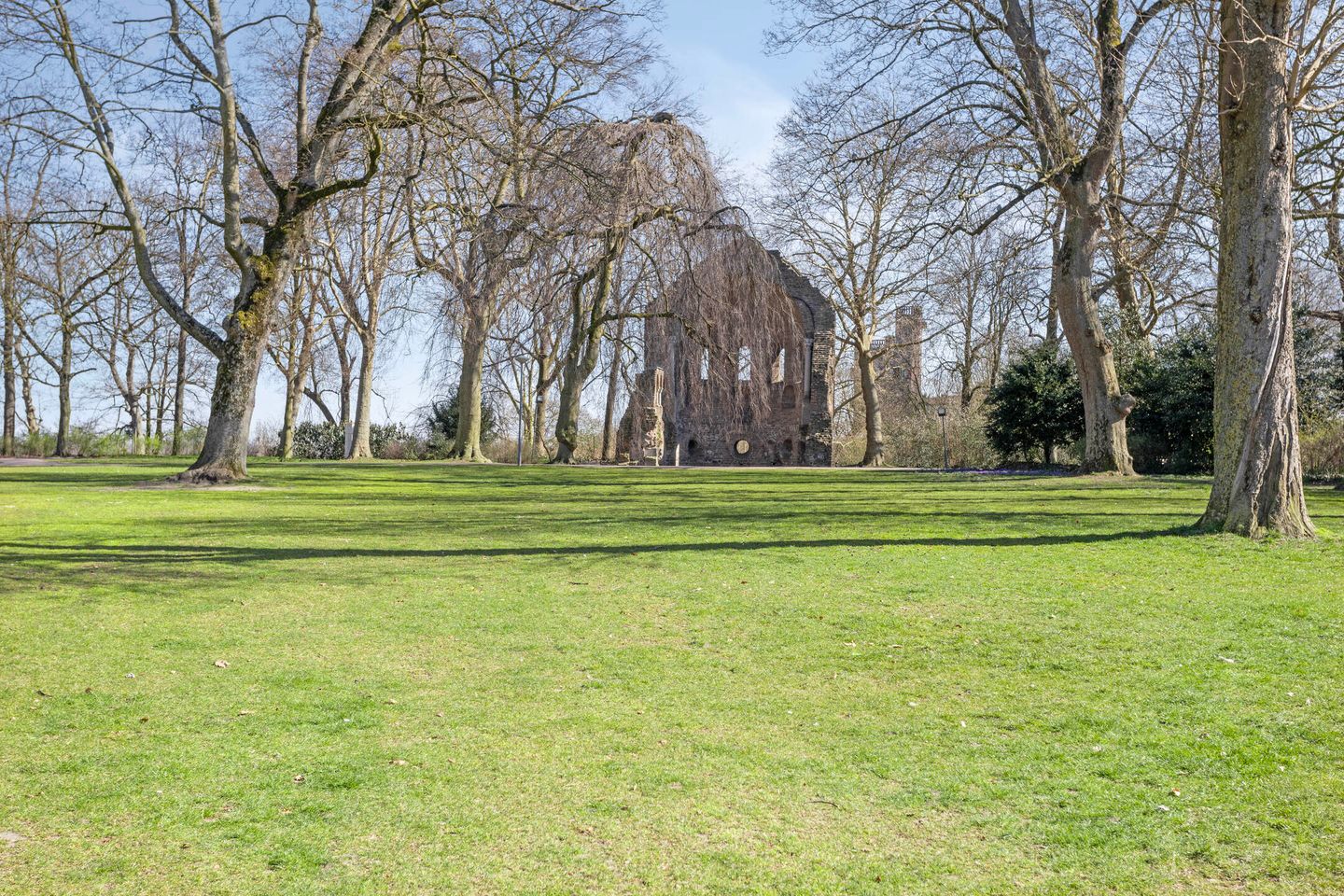 Foto 25 van Hertogstraat 65