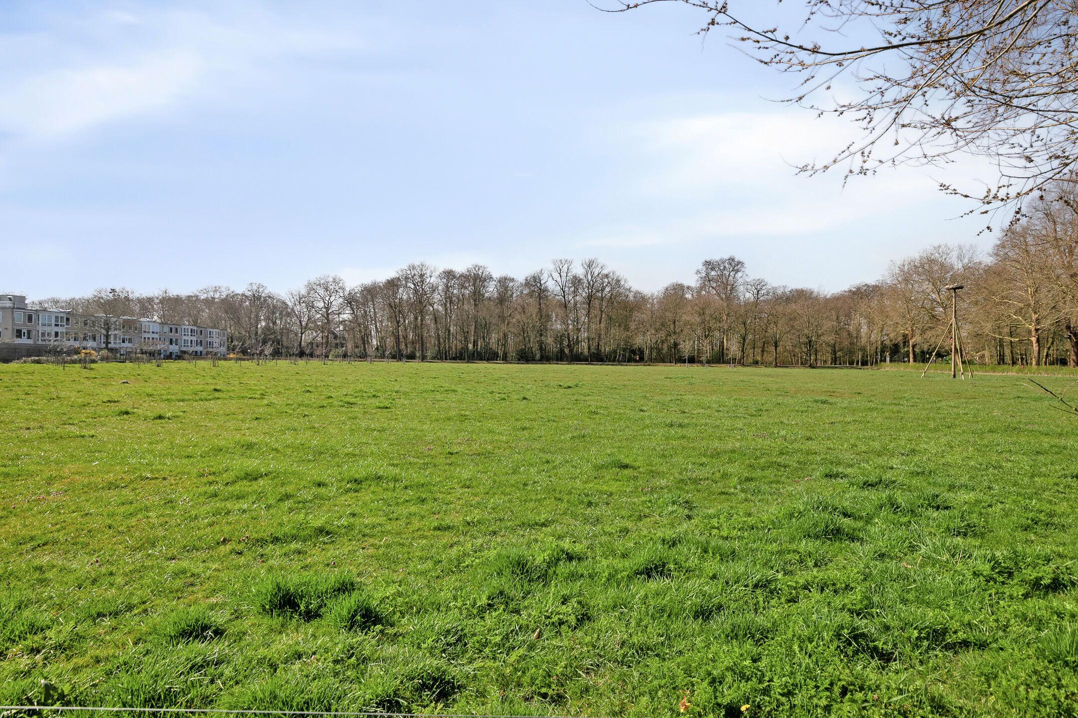 Foto 33 van Tesselschadestraat 13