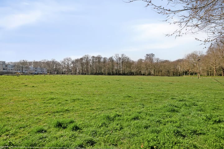 Photo 33 of Tesselschadestraat 13