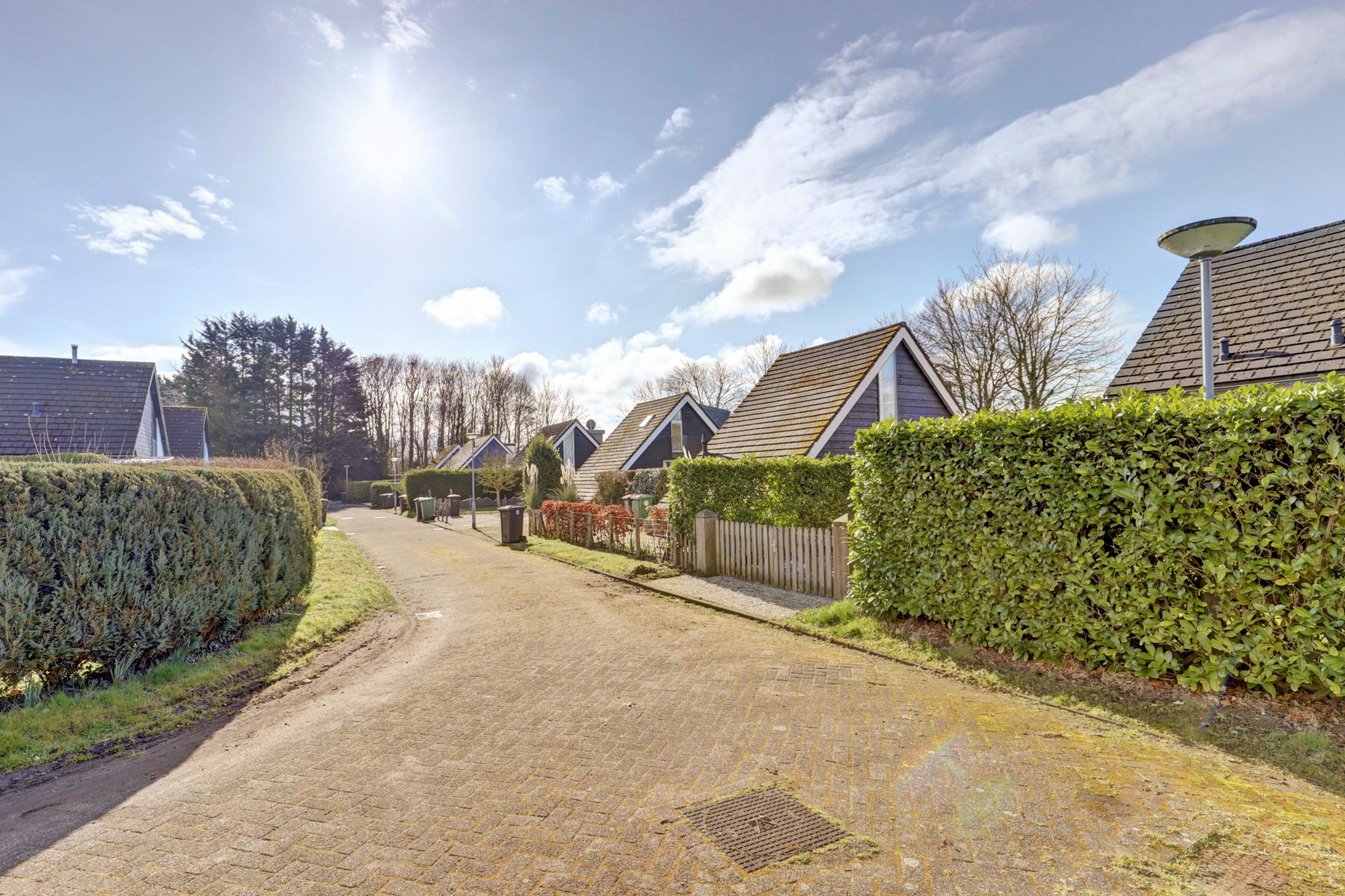 Foto 3 van Hoogerwerfsweg "De elf Boompjes" 43