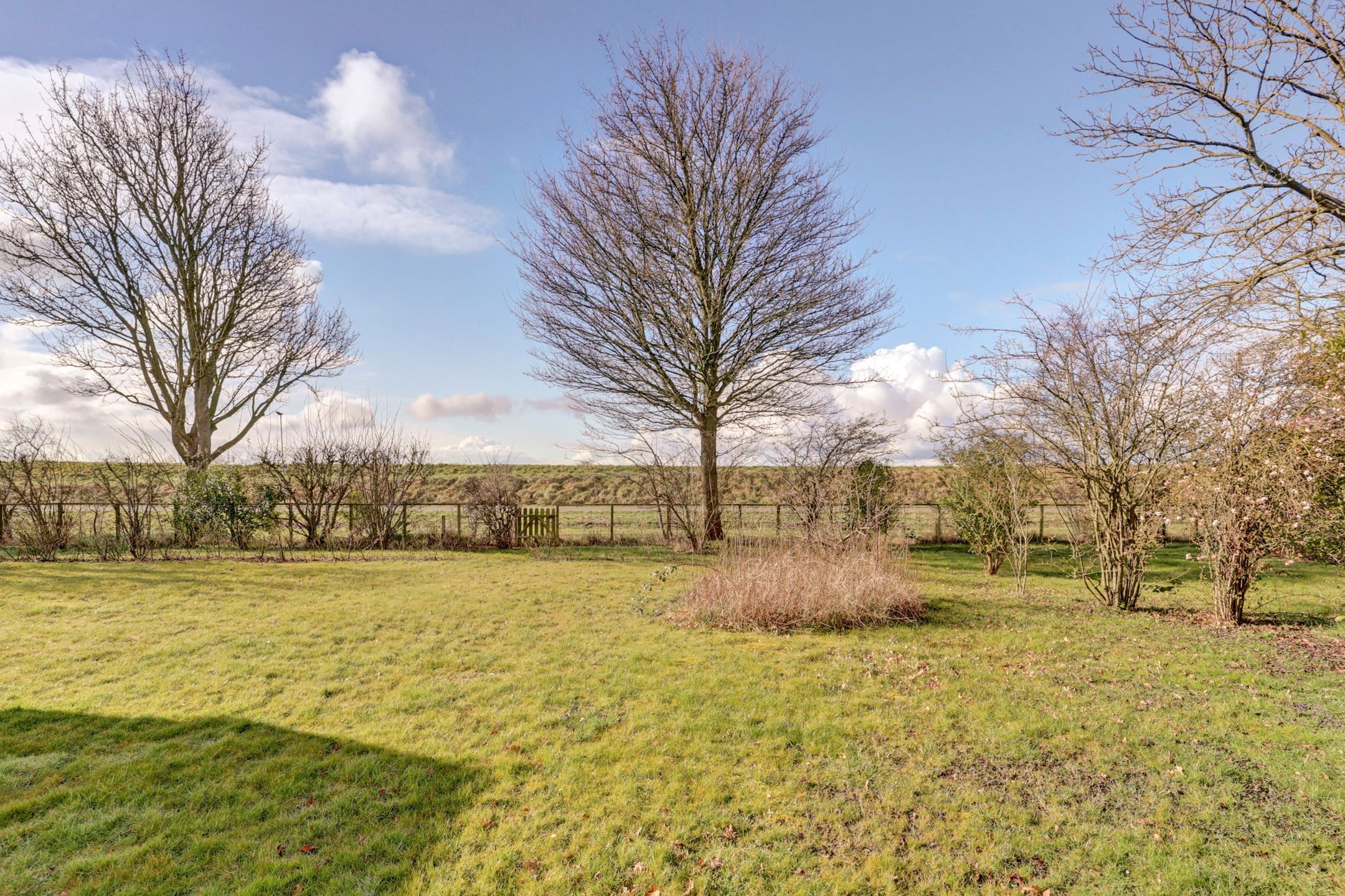 Foto 6 van Hoogerwerfsweg "De elf Boompjes" 43