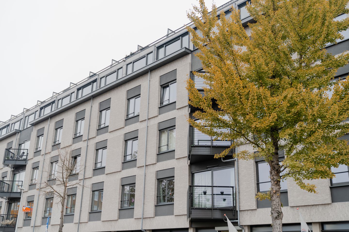 Foto 4 van Nieuwpoortstraat 86-A19