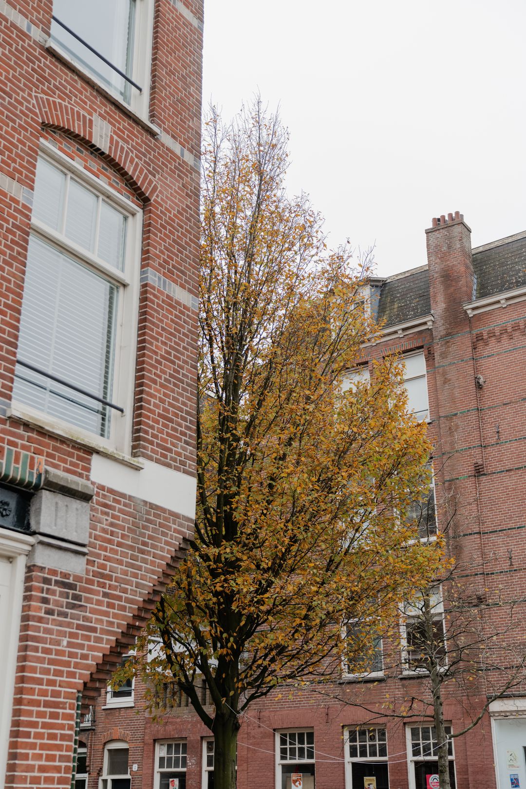 Foto 23 van Nieuwpoortstraat 86-A19