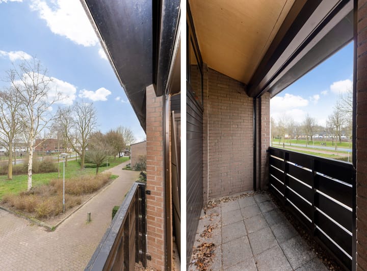 Foto 27 van Vierde Morgen 28