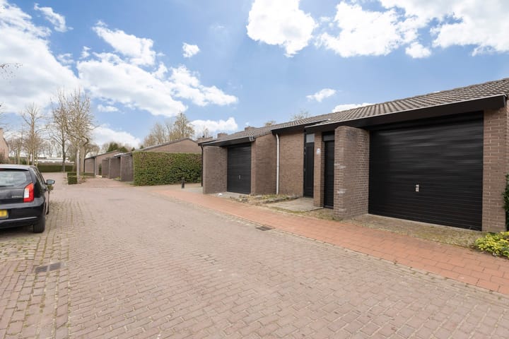 Foto 41 van Vierde Morgen 28