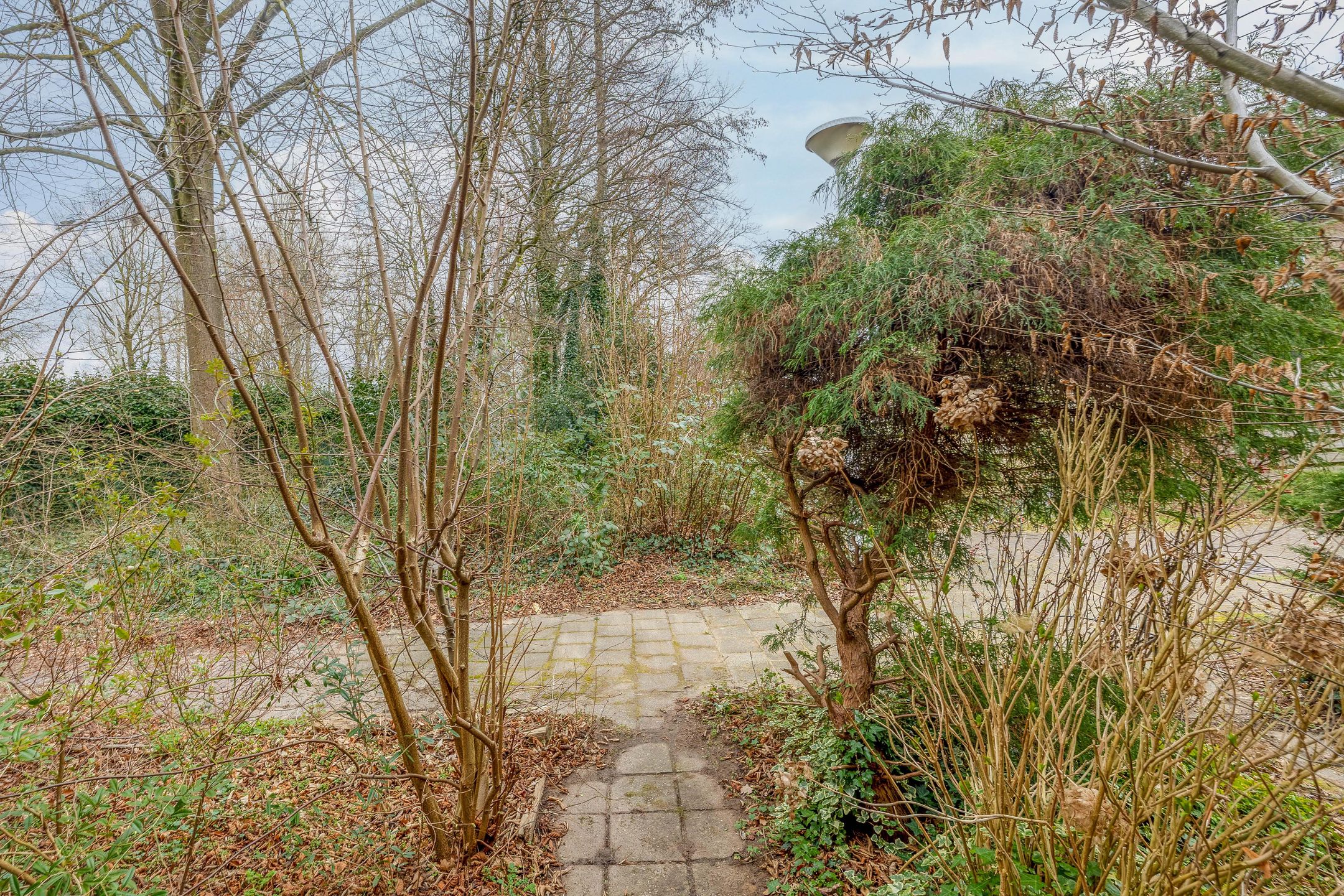 Foto 39 van Roghorst 215